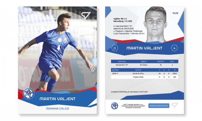 Martin Valjent - slovenskí sokolíci