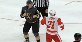 VIDEO: Tomáš Tatar bitka