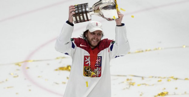 David Pastrňák (SITA)