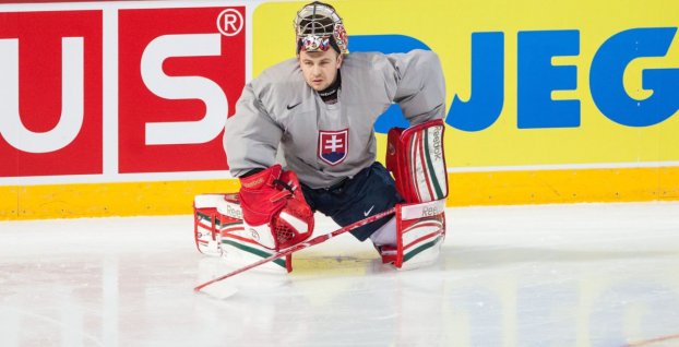 Július Hudáček (SITA)