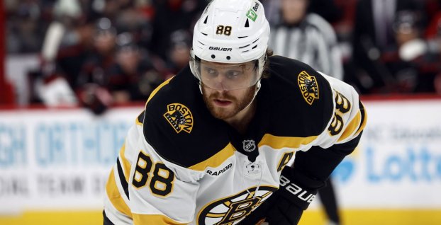 David Pastrňák (SITA)