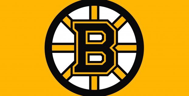 Boston Bruins