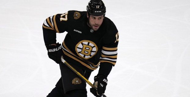 Milan Lucic (SITA)