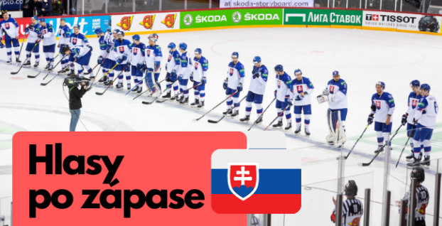 Hlasy po zápase Slovenska
