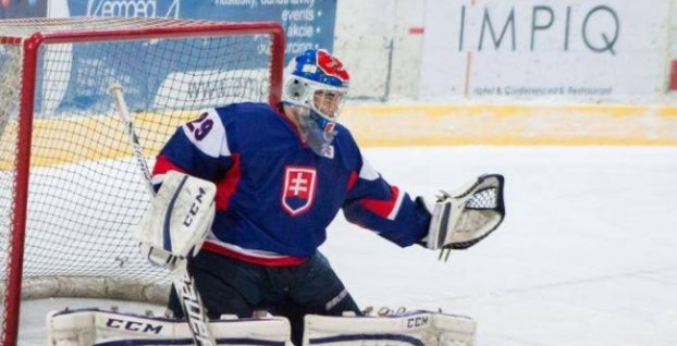 Slovenský brankár Tomek veľkou nádejou pre draft NHL 2015
