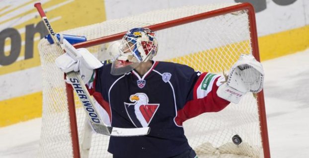 Správy dňa z NHL, KHL a Extraligy (31.1.)