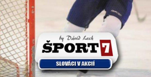 Slováci v akcií: V Čechách 8 bodov a dva kvalitné výkony brankárov