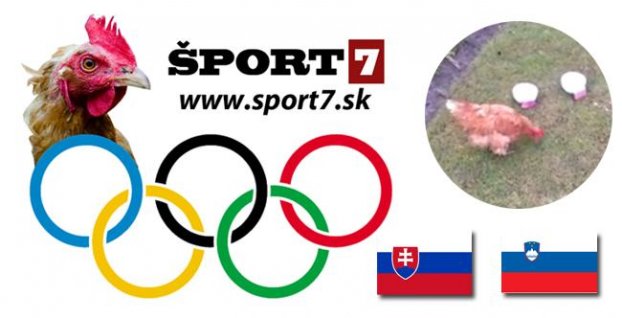 Sliepka Puťa to skúša opäť: Pozrite sa ako tipuje Slovensko - Slovinsko!