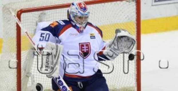 Hokej-MS14-servis: Najlepší na postoch - Slovensko má v tíme dvoch ocenených