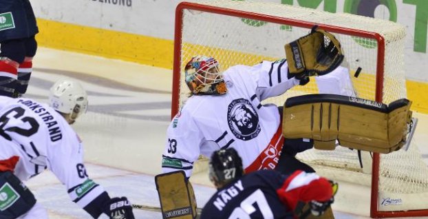 Správy dňa z NHL, KHL a Extraligy (5.11.)