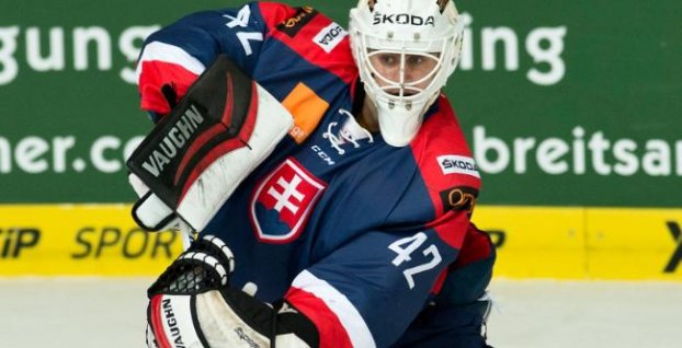 Slovensko prehralo na Nemeckom pohári aj so Švajčiarskom