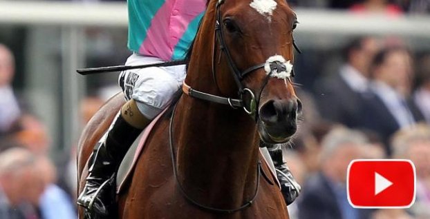 Frankel – legenda svetových dostihov 